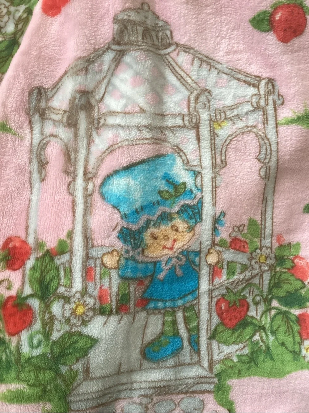 NWT Strawberry Shortcake Pink Plush Blanket 50x70